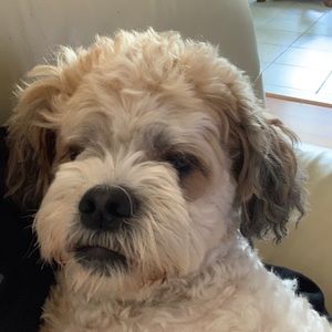 Meet your Posher, Kristine